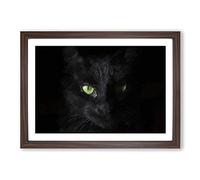 Black Cat with Green Eyes in Abstract Framed Wall Art Print A2 Walnut