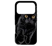 Black Cat Yellow Eyes Curious Kitten Paw Reaching Out Funny Case for iPhone 17 Pro