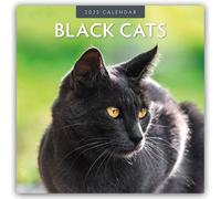 Black Cats 2025 Square Wall Calendar