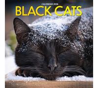 Black Cats 2026 Calendar: Elegant, Mysterious & Adorable Feline Photography