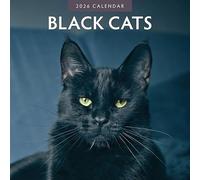 Black Cats - 2026 Square Wall Calendar - by Red Robin Publishing