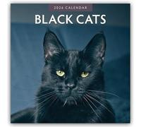 Black Cats 2026 Square Wall Calendar: Original Red Robin Publishing Ltd-Kalender [Mehrsprachig] [Kalender]