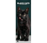 Black Cats 2026 Wall Calendar, 12-Month Slim Format, Made in England