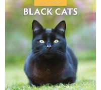 Black Cats - 2027 Square Wall Calendar - by Red Robin Publishing
