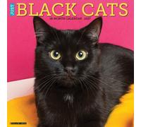 Black Cats 2027 Wall