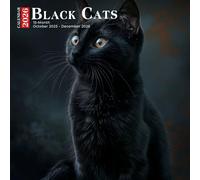 Black Cats Calendar 2026: Alluring Companions Full of Personality and Grace