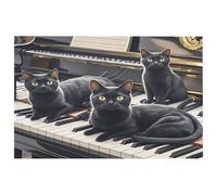 Black Cats Lying on The Piano Keyboard Door Mat Comfortable Cushioned Kitchen Mats Non-Slip Washable Pet Rug Ultra-Thin Soft Rug Easy Clean Low Profile Mat for Indoor Living Room Bathroom Door