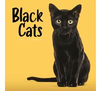 Black Cats (PFP) W