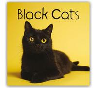 Black Cats Calendar Planner Organiser Month to View Planner 2025