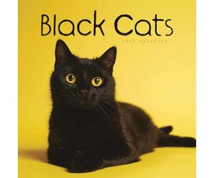 Black Cats - Schwarze Katzen 2025 - Wand-Kalender: Original Carousel-Kalender [Mehrsprachig] [Kalender]