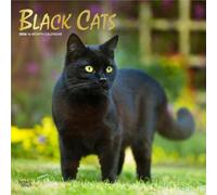 Black Cats - Schwarze Katzen 2026 - 16-Monatskalender: Original BrownTrout-Kalender [Mehrsprachig] [Kalender]