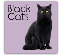 Black Cats - Schwarze Katzen 2026 - Wand-Kalender: Original Carousel-Kalender [Mehrsprachig] [Kalender]