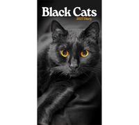 Black Cats Slim Diary 2027, General Diaries, Two Week To View, Cats, Gift