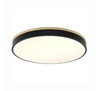 Black Ceiling Lamp,Led SMD Ceiling Lamp,30cm40cm50cm Cool White Light,Warm Light,Tricolor Light Change,Infinitely Dimmable,Ceiling Lamp-Three-Color Light Change 30cm