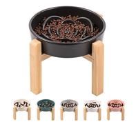 Black Ceramic Slow Feeder Dog Bowl for Small and Medium Breed,Elevated/Raised 6.1 in Slow Feeding Bowl,Puzzle Dog Food Bowl for Fast Eater,Maze Dish for Fast Eater