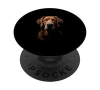 Black Chesapeake Bay Retriever Dog Chessie Face PopSockets Adhesive PopGrip