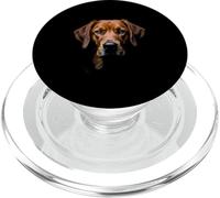 Black Chesapeake Bay Retriever Dog Chessie Face PopSockets PopGrip for MagSafe