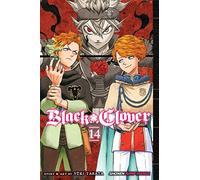 Black Clover, Vol. 14: Gold and Black Sparks: Volume 14