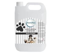 Black Coconut - NeutraHaze Odour Eliminator & Disinfectant - The Science Of Odour Control (5 Litre) (5 Litre)