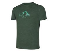 Black Crevice Men's Merino T-Shirt, Forest Green, L