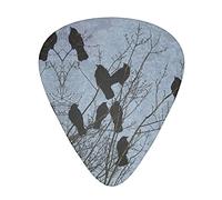 Black Crow Birds Advanced guitar pick 12 pieces Three thicknesses for bass, electric guitar, acoustic guitar bag