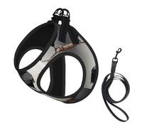 Black Crow Birds on a branch print Dog Harness, 2X Buckle,Dog Vest,No Pulling Front Leash Clip,for Small Medium Dogs