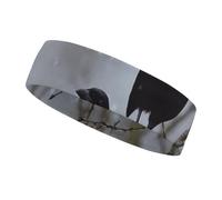 Black Crow Birds Sweatbands Wicking and Moisture-Wicking Function Running Headband Cotton Polyester Fiber Sweat Band for Tennis Basketball Running Gym Working Out