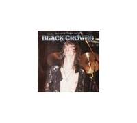 Black Crowes - Interview Pic