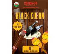 Black Cuban Chilli Seeds- 10 Fresh Seeds