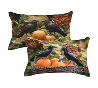 Black Cushion Covers 50x70 Large Cushions Bird Pillow Cases 2 pack, Sofa Cushions Decorative Pillows with Invisible Zipper Velvet Rectangle Pillowcases for Indoor Outdoor Living Room Home Decor P-11