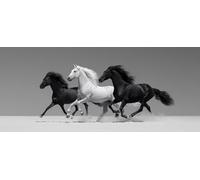 Black Diamond Art, Horse 5D Diamond Painting Kits, 5D Full Drill Crystal Art Kits for Adults, Cross Stitch Embroidery Crafts Pictures, DIY Adult Crafts, Gifts for Men, Spring Decoration 64x28in 7-9823