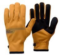 Black Diamond Everyday Softshell Gloves