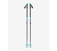 Black Diamond Unisex - Adult Expedition Ski Poles Desert Sky 100-140cm