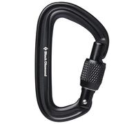 BLACK DIAMOND Liteforge Screwgate Carabiner - Mixte - Black - size only size- model 2025 only size