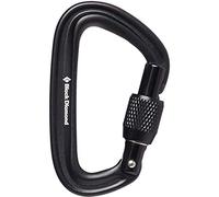 BLACK DIAMOND Liteforge Screwgate Carabiner - Mixte - Black - size only size- model 2025 only size