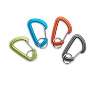 Black Diamond Micron Small Mini Carabiner for Camping and Daily Use