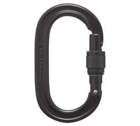 Oval climbing carabiner Black Diamond SCRWGT TU