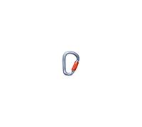 Black Diamond PEARLOCK TWISTLOCK CARABINER (Gray)