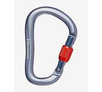 Climbing carabiner Black Diamond Rocklock TU