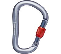 BLACK DIAMOND Rocklock Screwgate Carabiner - Mixte - Grey - size only size- model 2026 only size