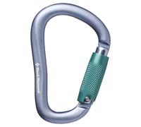 Carabiner Black Diamond ROCKLOCK TRIPLE LOCK CARABINER (Gray)
