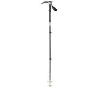 Black Diamond - Ski touring and splitboard poles - Expedition 3 Whippet Desert Sage in Aluminium - Green Green one size