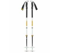 Black Diamond Traverse Pro Poles Silver 105-155 cm Men,Women