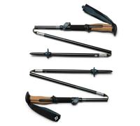 Trail Vista FLZ Trekking Poles