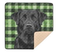 Black Dog Green Buffalo Plaid Love Home Family Together St Large Sturdy Baby Playmat for Floor Cozy Breathable Padded Baby Mat for Babies Infants Toddlers, 50'' x 50''
