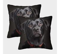 Black Dog Portrait-Studio Pet Photography Pillow Covers 2 Pack Cozy Pillowcase Art Cushion Cover with Zipper Decor for Sofa Living Room Bed Home 45x45cm
