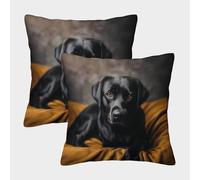 Black Dog Portrait-studio Pet Photography Pillow Covers 2 Pack Cozy Pillowcases Art Cushion Covers with Invisible Zipper Decor Sofa for Living Room Bedroom 40x40cm
