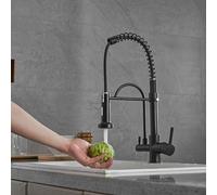 Black Double use Faucet Kitchen European Kitchen and Bathroom Faucet Basin Faucet Stretch Spring Spray Paint, Black Double Spring