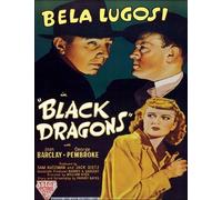 Black Dragons [DVD]