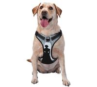 Black Dress Woman Standing By The Window No Pull Dog Harness Adjustable Reflective Oxford Easy Control Medium Large Dog Harness